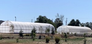 Apple Creek Vineyard Farm & Nursery