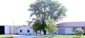 Schlaegel's Homegrown Popcorn
