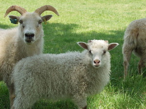 Eight Pond Farm