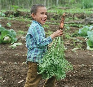 Sustainable Harvest International