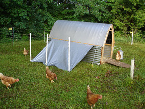 Our Little Farm