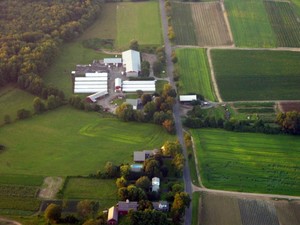 Nourse Farms