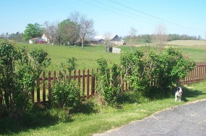 Wandering Ewe Farm, Wool and Fiber Mill