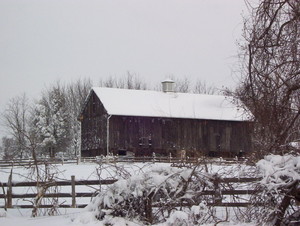 Forever Endeavor Farm