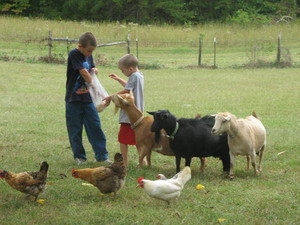 Idyll Acres Farm