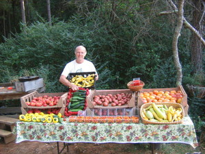Imagine Organic Farm
