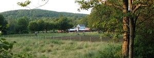 Bob White Farm