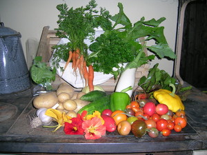 Webster Farm Organic - Salad Days