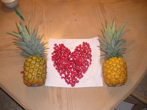 Miracle Fruits Exchange Inc.