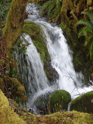 Crystal Creek Fibers