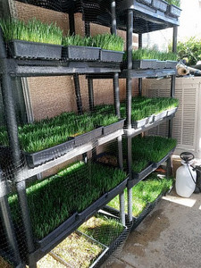 La'Cour Family Farms