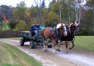 Spring Hills Farm