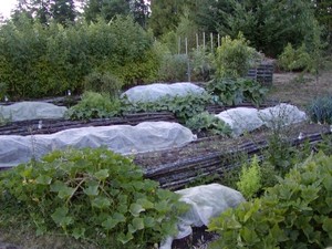 Maha Farm