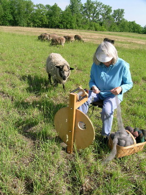 Maggie's Farm