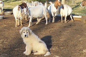 J & B Farms