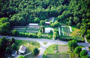 Wayne's Organic Garden