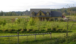 Little Island Farm and Flowers