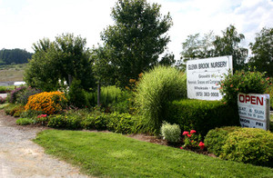 Glenn Brook Nursery LLC