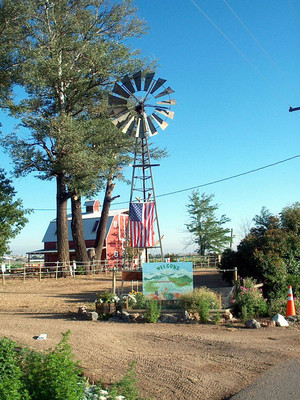 Berry Patch Farms