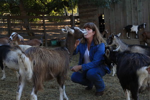 Healthy Family Farms