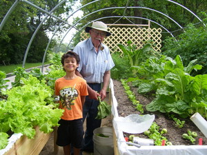 Marsh Haven Farms