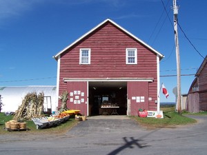 Bellinger's Apple Orchard