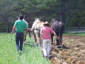 Buckwheat Blossom Farm