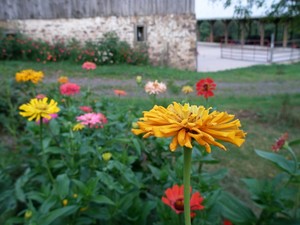 Great Bend Farm