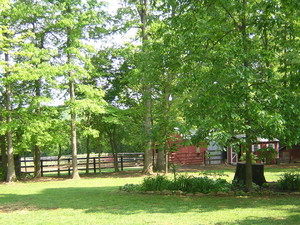 Kingdom Acres Farm