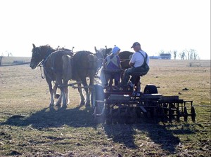 Holmstead Farm