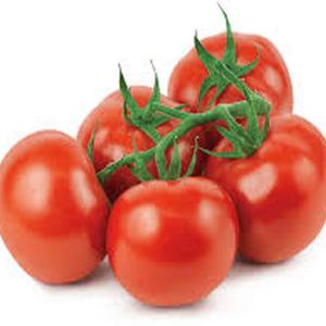 Sunshine Market Garden Ltd.