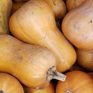 Downtown New Britain Farmers' Market