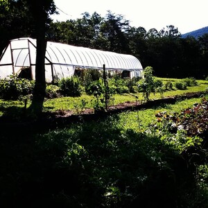 Orchard Creek CSA