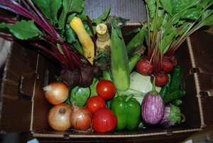 Prochaska Farms