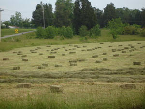 Back Achers Farm
