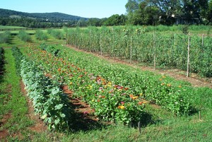 Retreat Farm