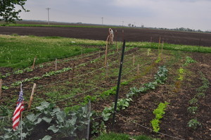 Crawling E Farm