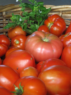 Fischer Creek Farm