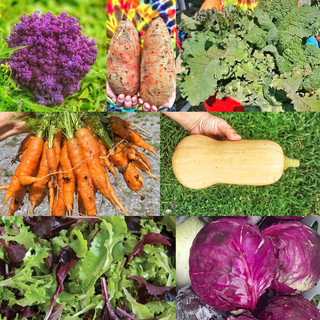 A Farm Less Ordinary