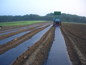 Gap View Farms