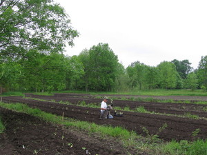 River Country Organic Foods