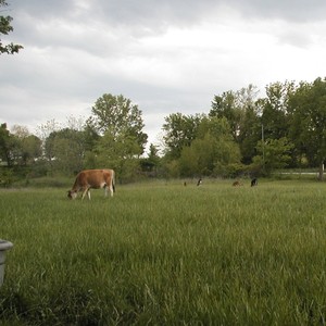 Gannon Family Farm