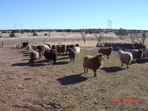 Sagebrush Valley Ranch