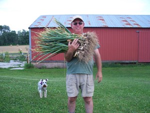 Highland Garlic Farm