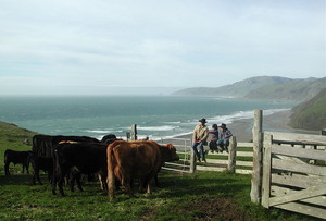 Lost Coast Ranch