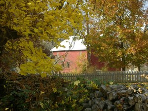 Carriage House Farms