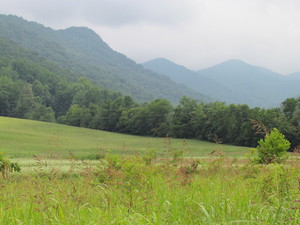 Appalachian Seeds Farm and Nursery