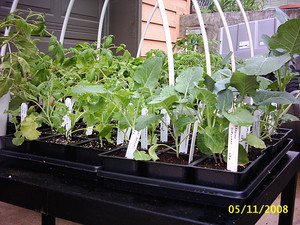 Bee Log Farm & Nursery