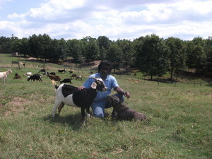 Vanguard Ranch Ltd.