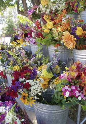 Bella Bouquet